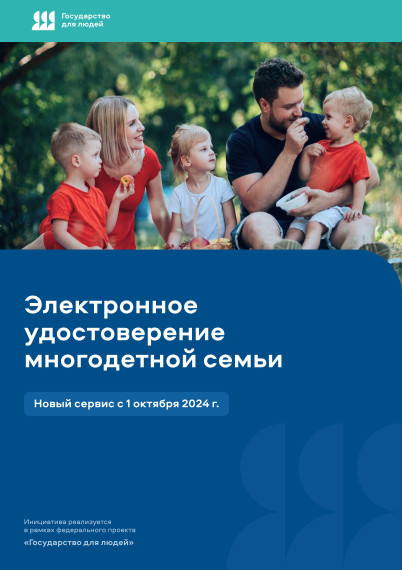 Статус многодетной семьи.